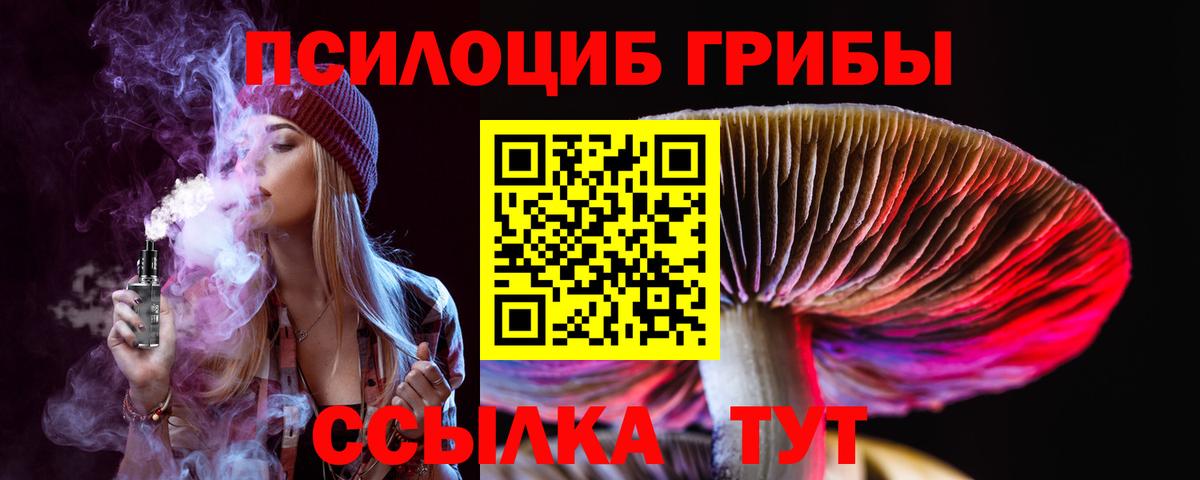 где найти наркотики  Вход с VPN  Каменка  Псилоцибиновые грибы GOLDEN TEACHER 